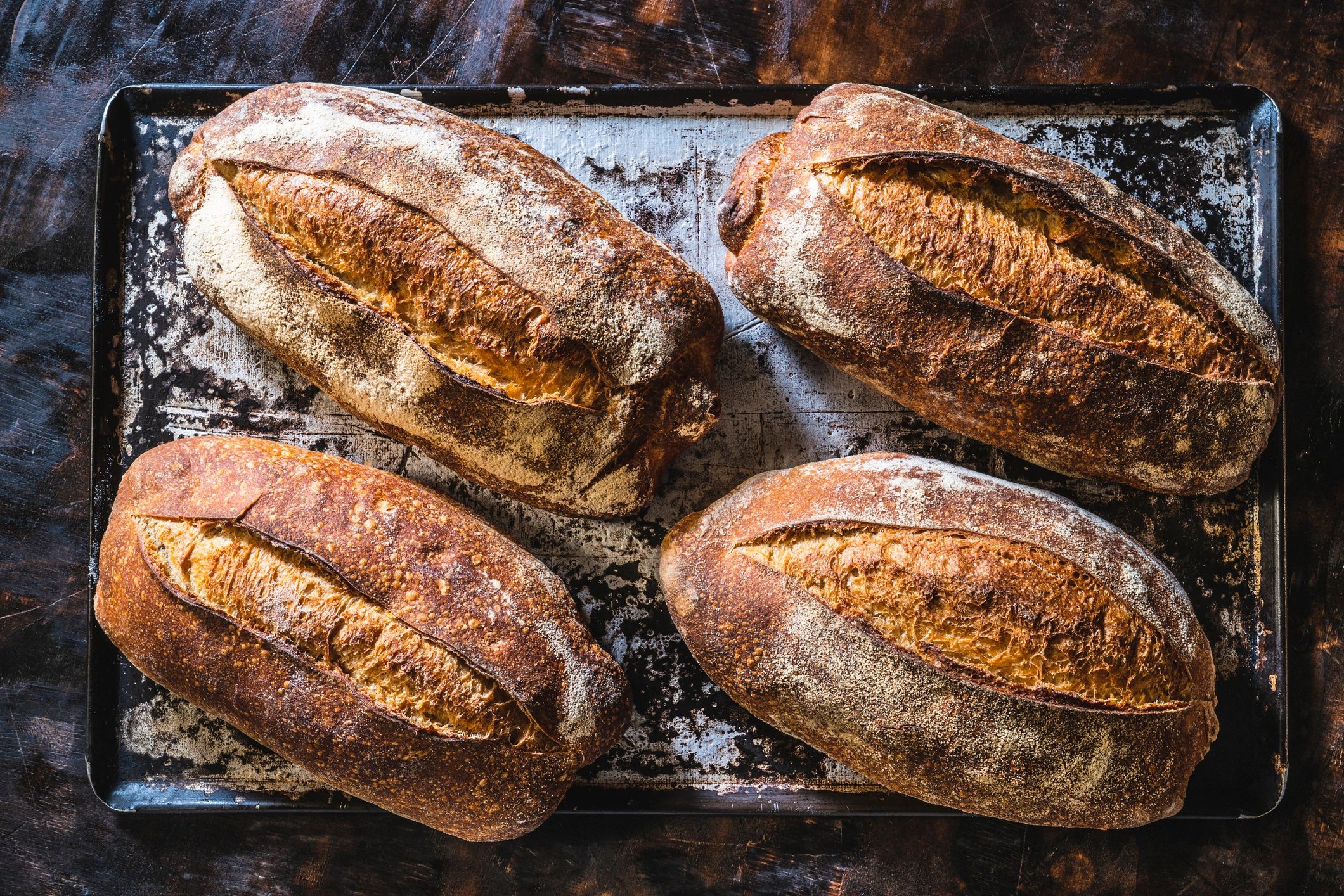 Freshly baked sourdough loaves in a tray